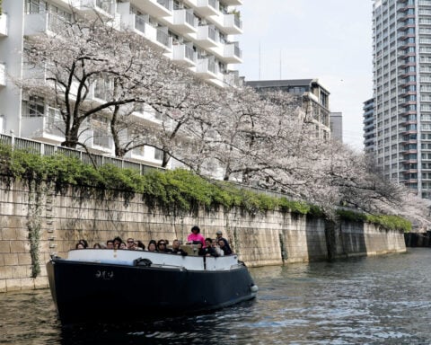 Pricier fuel hits Tokyo cherry blossom river cruises ​