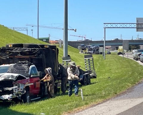 1 million bees make for bumper-to-buzzer traffic on a Tennessee highway ramp