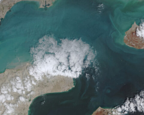 Some tankers cross Strait of Hormuz before shots fired, ship-tracking data shows