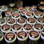 Trump announces reforms to accelerate access to psychedelic drug treatments