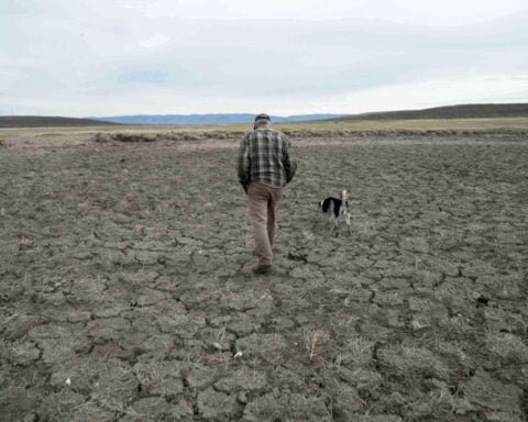 Record US drought sparks worries about fires, water supply and food prices