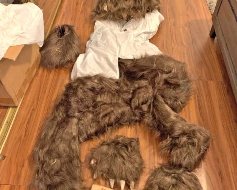 California bear-suit luxury car scam ends in insurance fraud sentences for 3