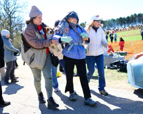Wisconsin authorities put total arrests from clashes at beagle breeding facility at about 25
