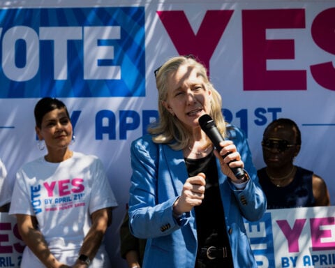 Pinwheels and the ‘lobster district’: How Virginia Democrats drew up a US House map to all but lock out Republicans