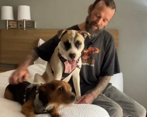 Montgomery County, Pennsylvania, celebrates year of success fighting homelessness with free hotel rooms