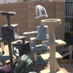 APS rescues over 40 animals from poor conditions at illegal organization