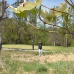 University of Maryland students transform the campus golf course into a living environmental laboratory