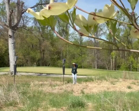 University of Maryland students transform the campus golf course into a living environmental laboratory