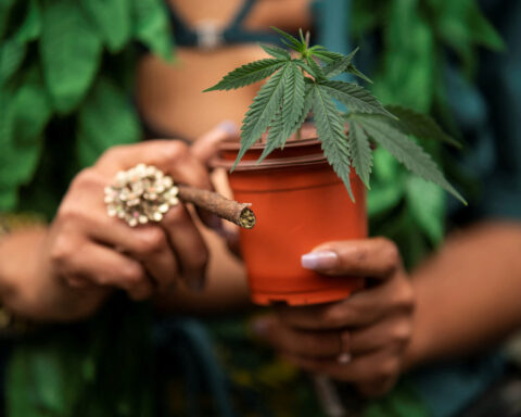 GLP-1 boom nudges cannabis dispensaries to rethink offerings