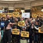 Animal welfare protesters converge on Wisconsin governor's office seeking release of beagles