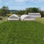 'From Kentucky': The mint behind the Kentucky Derby's signature drink