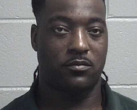 Man pleads guilty in puppy burning case