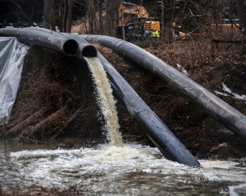 EPA, DOJ file complaint over Potomac River after sewage leak