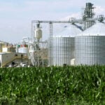 Biofuels back in vogue as Iran war triggers oil price surge