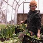 Northeast flower and fruit farmers grapple with whiplash weather