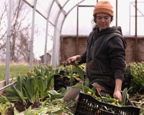 Northeast flower and fruit farmers grapple with whiplash weather