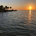 Hurricanes devastated Florida’s East Coast – then seagrass made an unexpected comeback