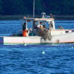 Consumers are lost at sea as seafood sustainability grows more complex