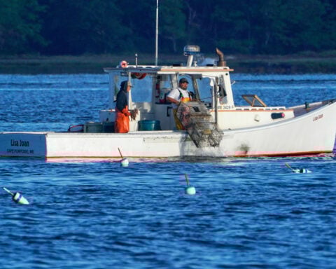 Consumers are lost at sea as seafood sustainability grows more complex