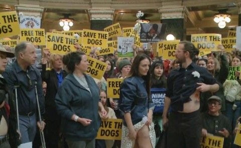 Protesters urge Gov. Evers to intervene in beagle rescue at Dane County farm