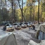 US officials killed in Mexico car crash following drug raid worked for the CIA, sources say