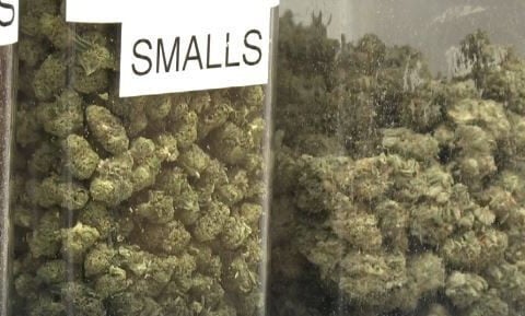 Could marijuana odor lead to fines in Arizona?