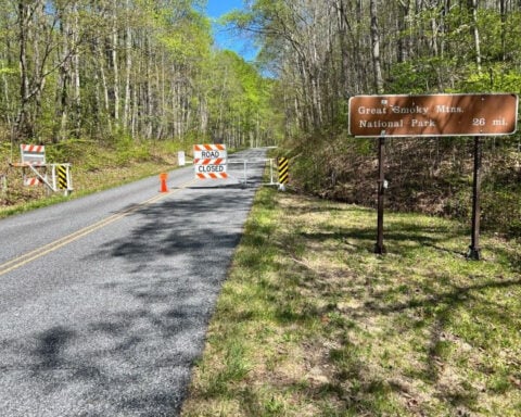 Stray dog search prompts Blue Ridge Parkway closures, draws welfare concerns