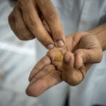 Ibogaine is drawing new interest from the Trump administration. Here’s what to know about the psychedelic