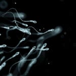 Can stress affect sperm? What men should know about fertility
