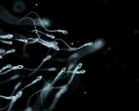 Can stress affect sperm? What men should know about fertility
