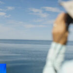 Cape Cod researcher says newly found 1949 whale recording is critical discovery: "I'm getting goosebumps"