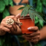 US set to reclassify marijuana as early as Wednesday, Axios reports