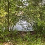 Fisherman finds human remains in retention pond