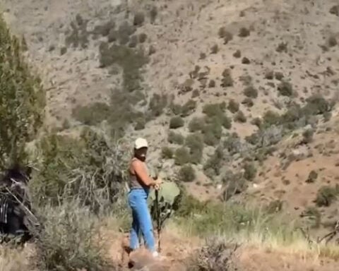 'It was all a miracle’ Man rescued after days lost in wilderness