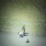 Drone penetrates darkness to help police capture suspected thief