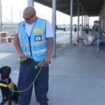 California State Prison inmates raise service dogs as part of rehabilitation program