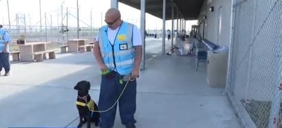 California State Prison inmates raise service dogs as part of rehabilitation program