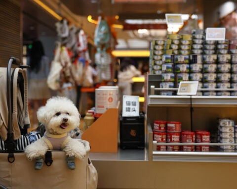 China’s $24 billion pet food market heats up as local brands challenge global players