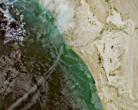 Iran seizes vessel in Strait of Hormuz, defying US naval superiority