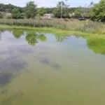 Flesh-eating bacteria concerns in Long Island waters are growing. Here's why.