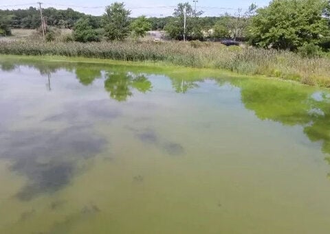 Flesh-eating bacteria concerns in Long Island waters are growing. Here's why.