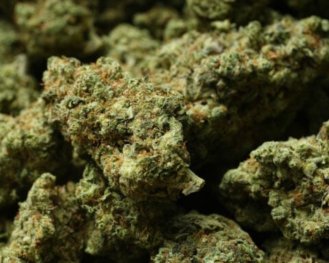 Trump reclassifies state-licensed medical marijuana as a less-dangerous drug in a historic shift