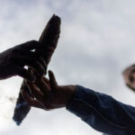 Instant View: Cannabis rescheduling fuels optimism across industry