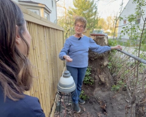 Ferndale Rat Patrol ramping up efforts to help residents combat chronic rodent problems