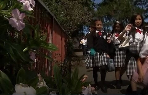 San Francisco school cleans up for Earth Day with inspiration from Pixar film 'Hoppers'