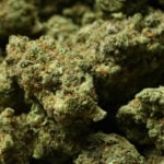 Reclassifying marijuana as a less dangerous drug might only be the first step for Trump