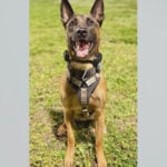 New video shows emotional moments after a Fort Lauderdale K-9 officer was shot while chasing a burglary suspect