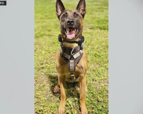 New video shows emotional moments after a Fort Lauderdale K-9 officer was shot while chasing a burglary suspect