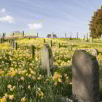 Boom in cremation hides surprising truths about what Americans really want when they die