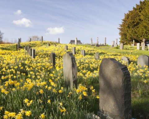 Boom in cremation hides surprising truths about what Americans really want when they die